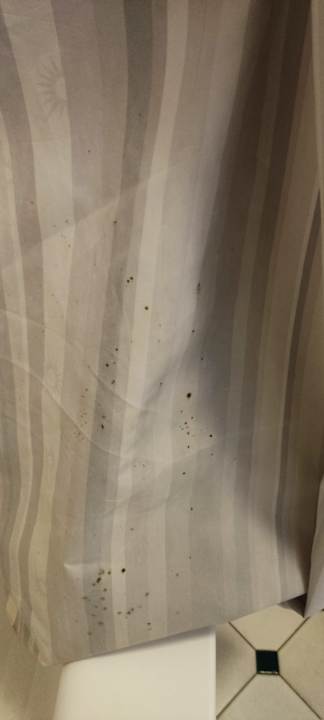 Zimmer Hotel La Quinta Inn Reno Airport