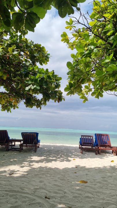 Strand Neptune Pwani Beach Resort & Spa