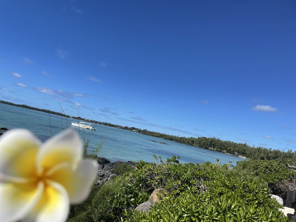 Strand Lagoon Attitude - Adults only