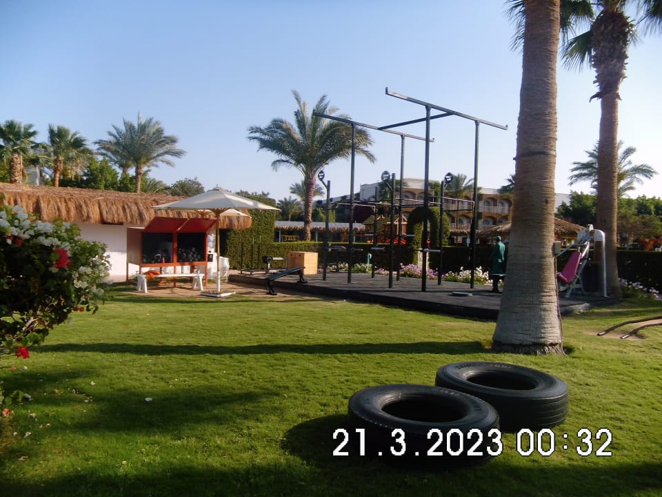 Sport & Freizeit Desert Rose