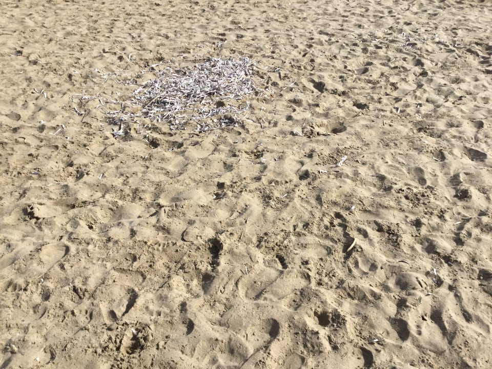 Strand Atlantica Mikri Poli Crete