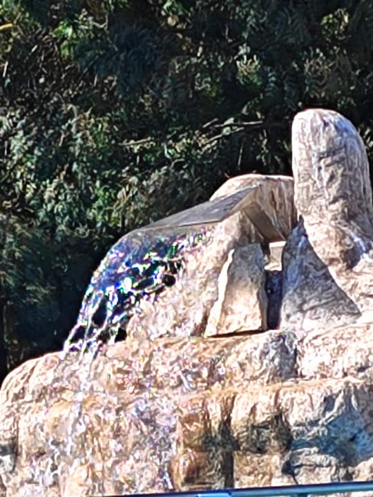 Sonstiges Hotel Borjana