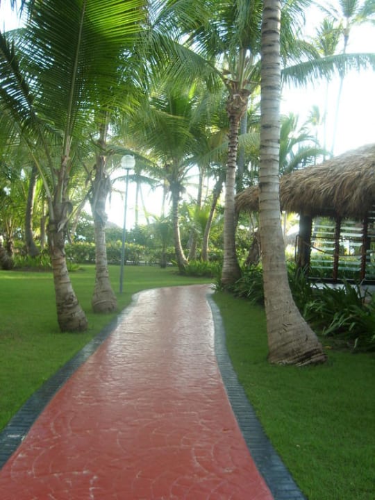 Weg zum Strand Hotel Grand Palladium Palace Resort, Spa & Casino