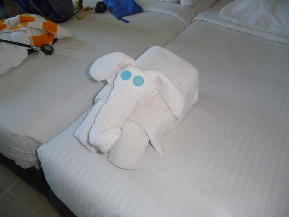 Zimmer Coral Sun Beach