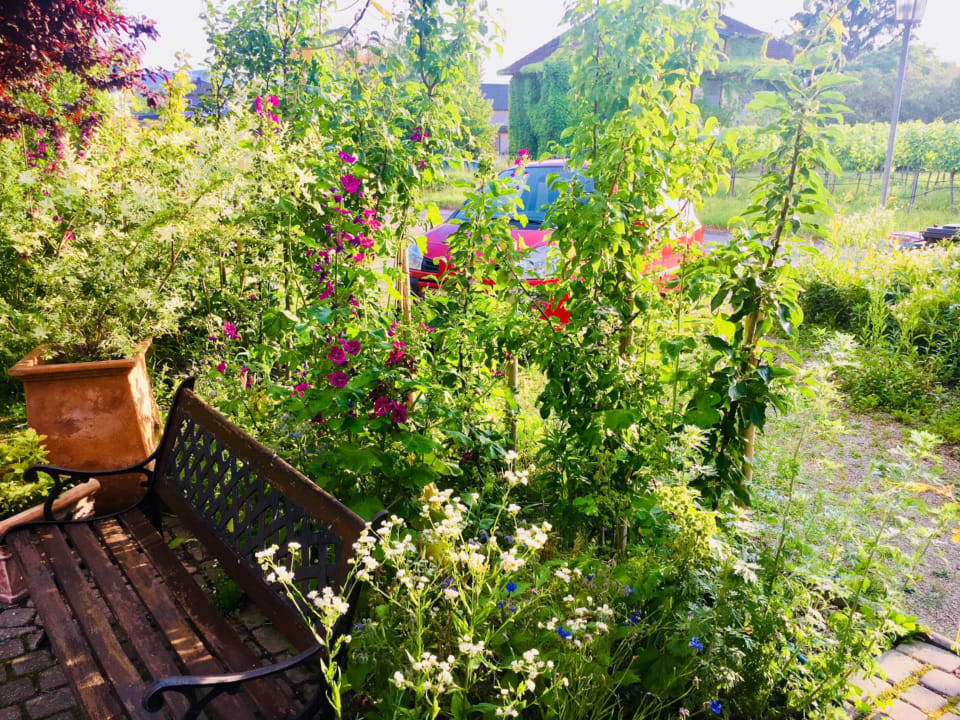 Gartenanlage Landhaus Weinblick