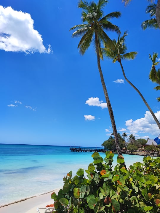 Strand Secrets La Romana Resort & Spa - Adult Only