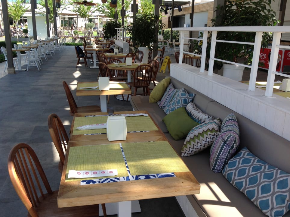 Gastro Acanthus Cennet Barut Collection