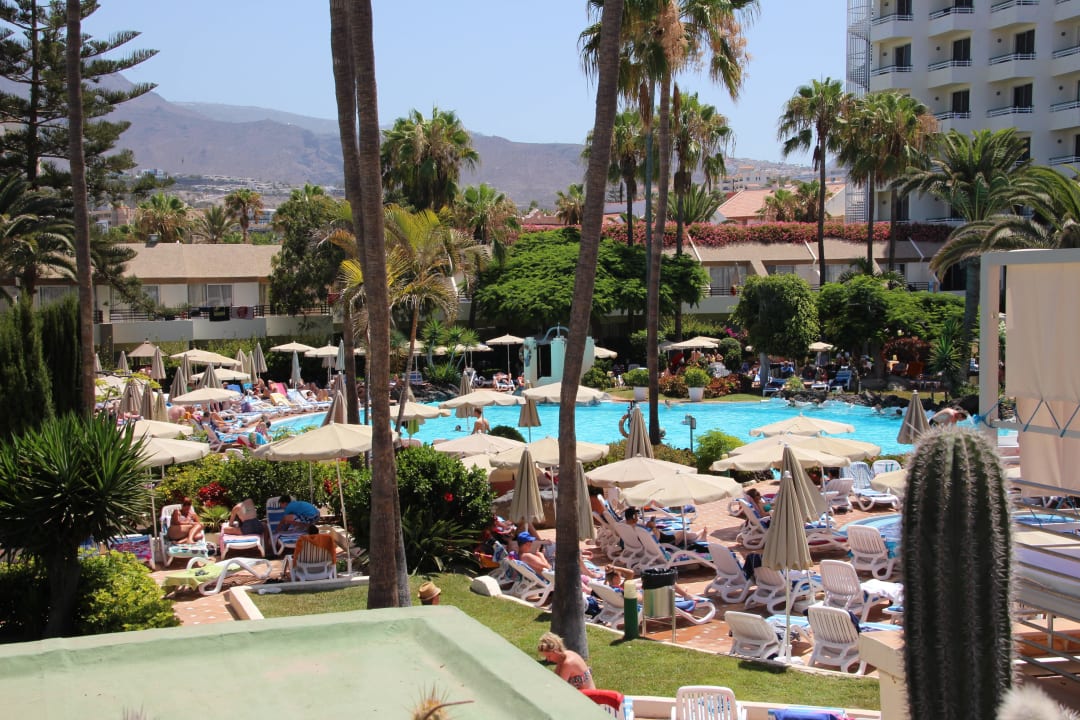 Hôtel H10 Las Palmeras - La Piscine 2015 H10 Las Palmeras