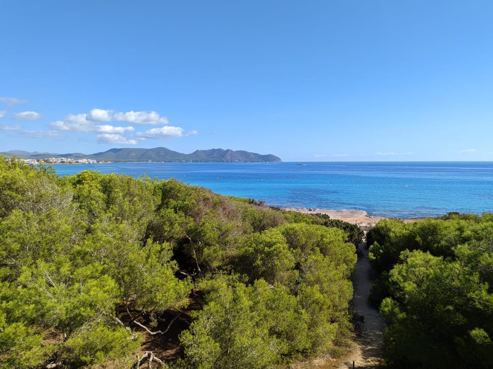 Ausblick Hipotels Bahía Cala Millor