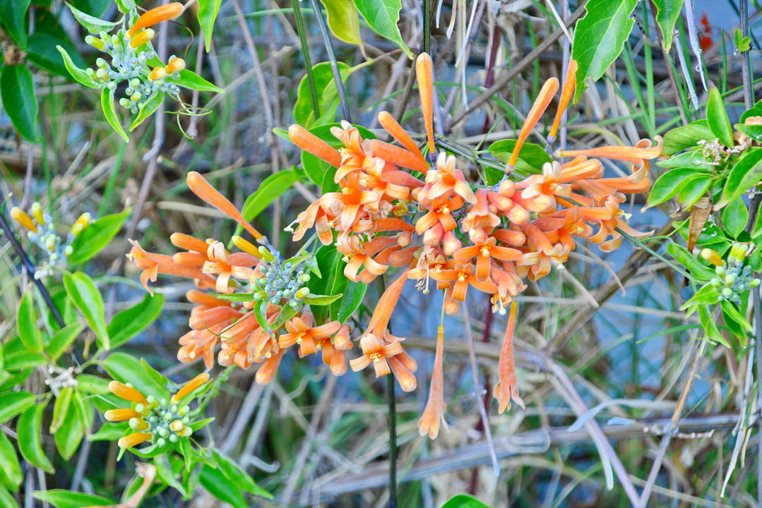 Gartenanlage Hotel Panoramica Garden
