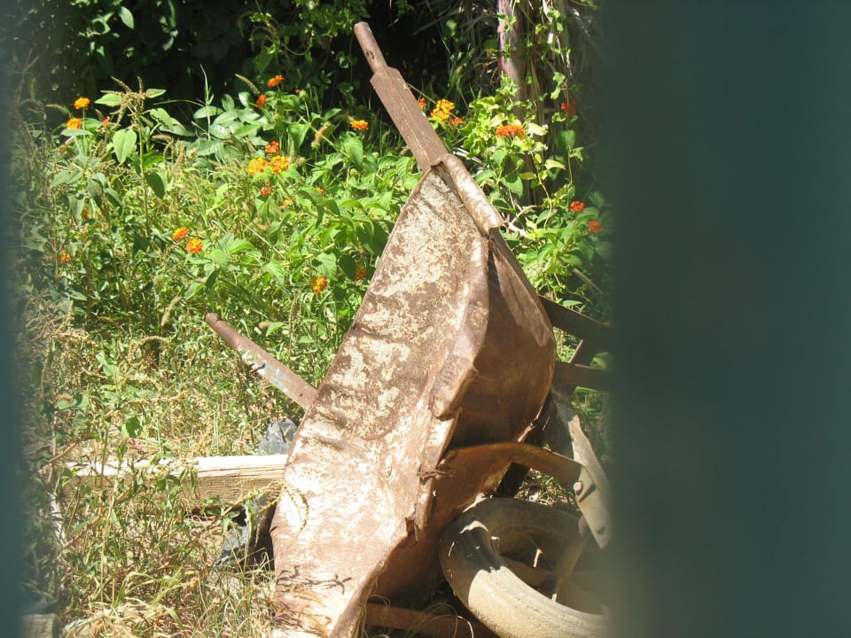 Ogród Houda Golf & Beach Club