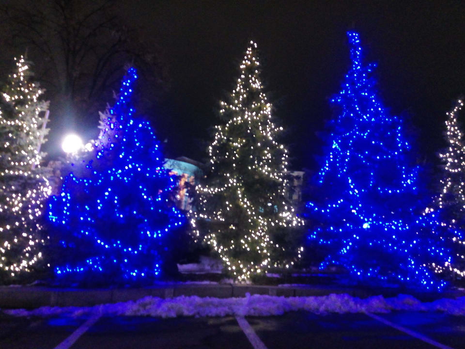 Gartenanlage Hotel Ukraine
