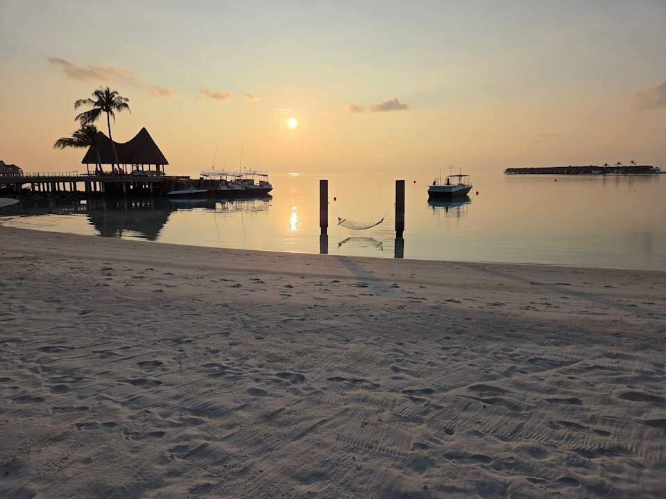 Strand ananea Madivaru Maldives