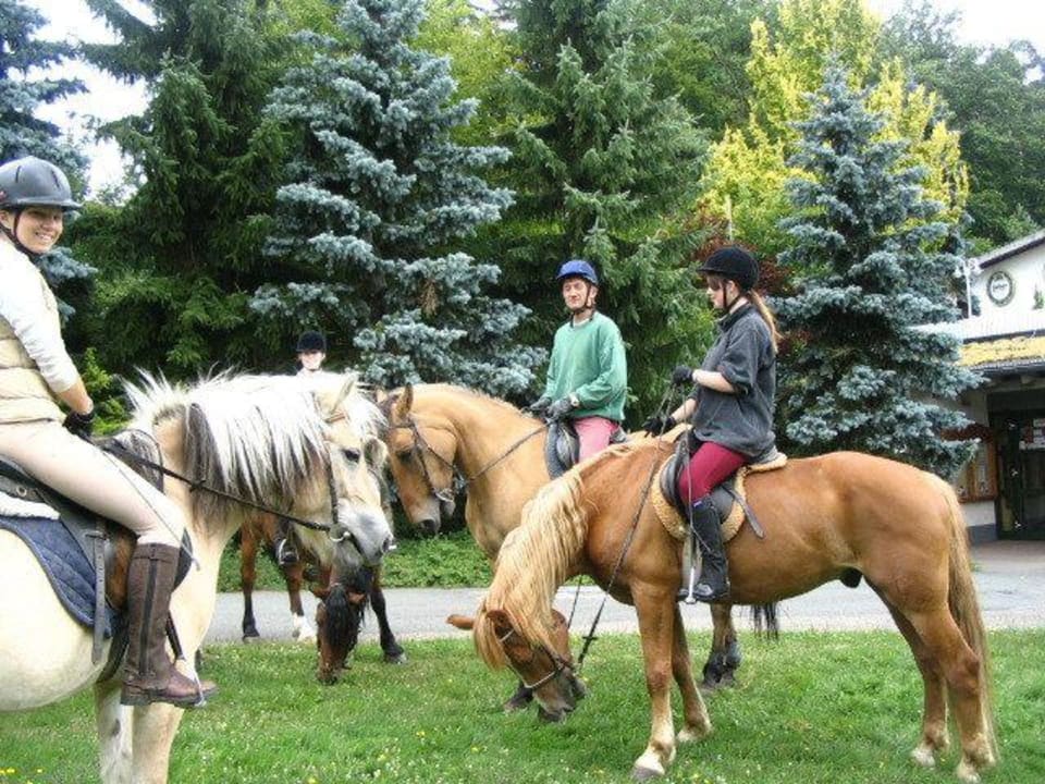 Sportanlagen/Freizeitangebot Ferienpark Frankenau