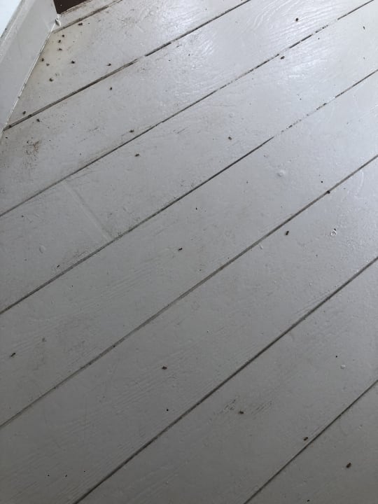 Zimmer Kihaa Maldives