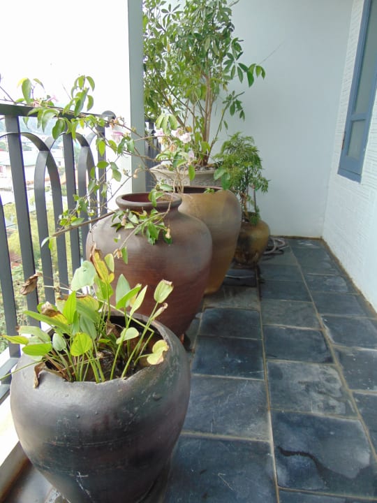 Zimmer Le Clos Du Fil