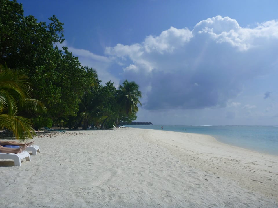 Hotel Meeru Island Resort Meeru Maldives Resort Island