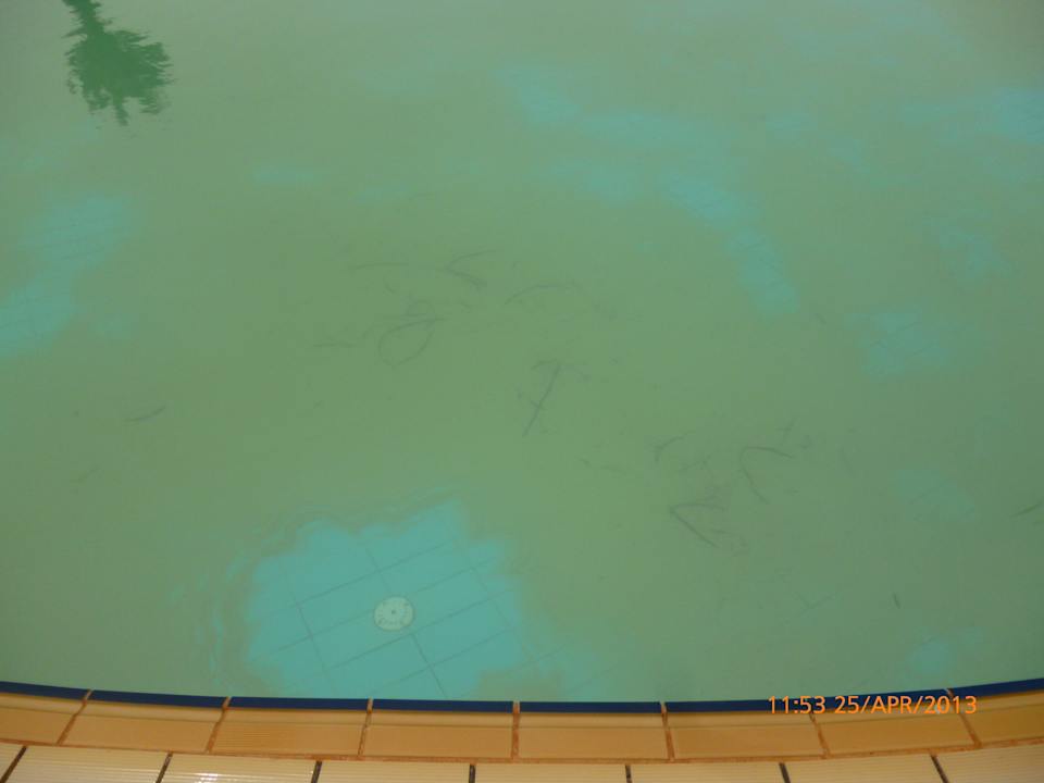 Läd ein zum baden,total verdreckter Pool. Hotel El Mouradi Djerba Menzel