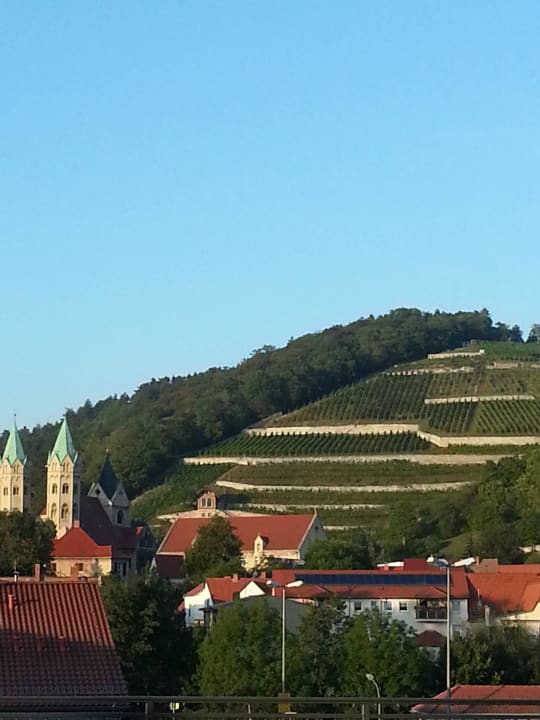 Blick auf die Weinberge Hotel Schloss Nebra & Annex Himmelsscheibe