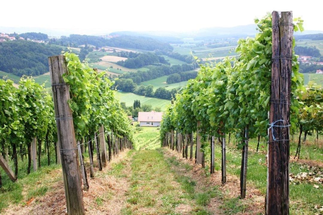 Weingarten Grenzlandhof Ulrich Pension