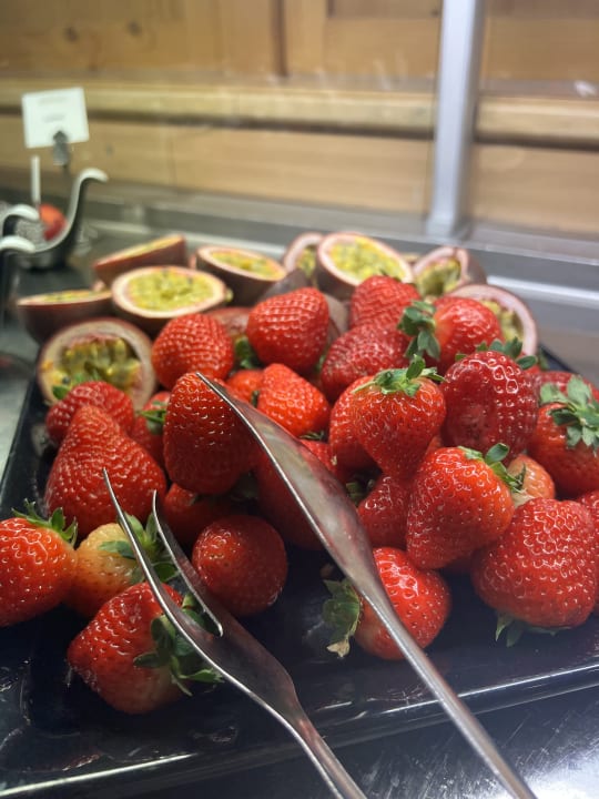 Gastro Alphotel Tyrol