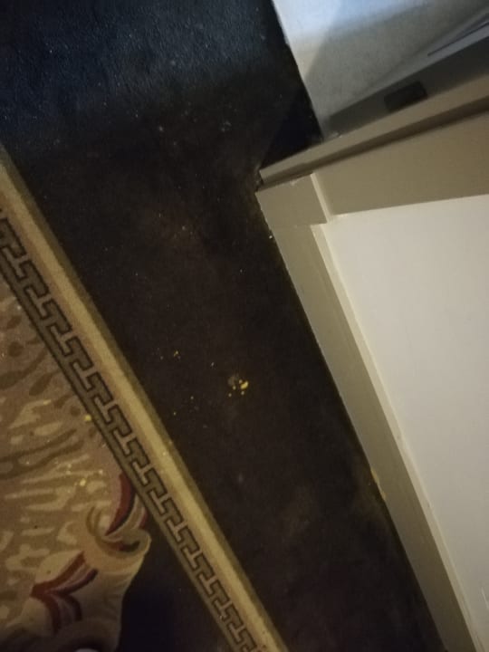 Sonstiges Well Palace Side