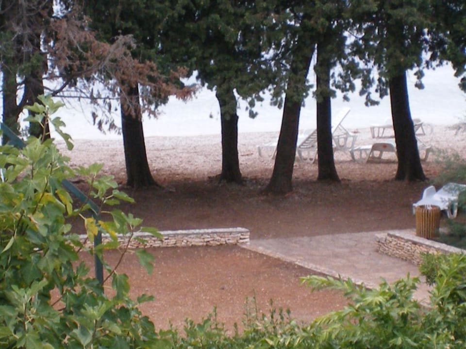 Blick vom Balkon Aminess Vival Casa Velaris