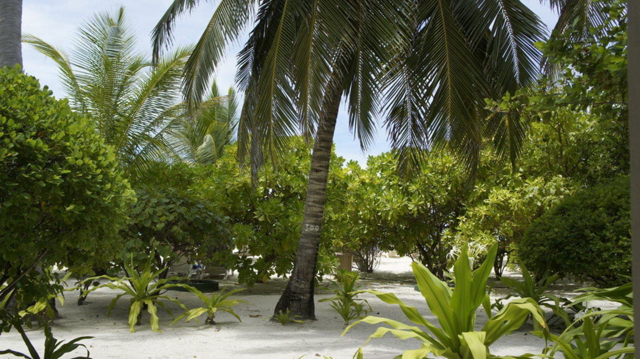 Blick aus Bungi 80 Summer Island Maldives