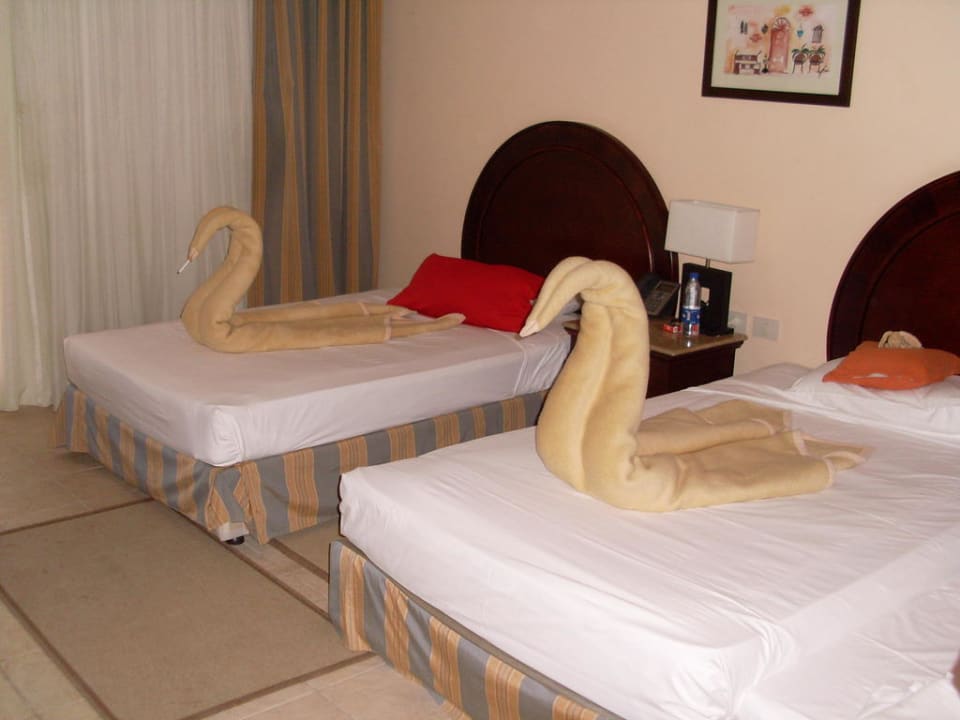 Zwei Schwäne Stella Beach Resort & Spa Makadi Bay