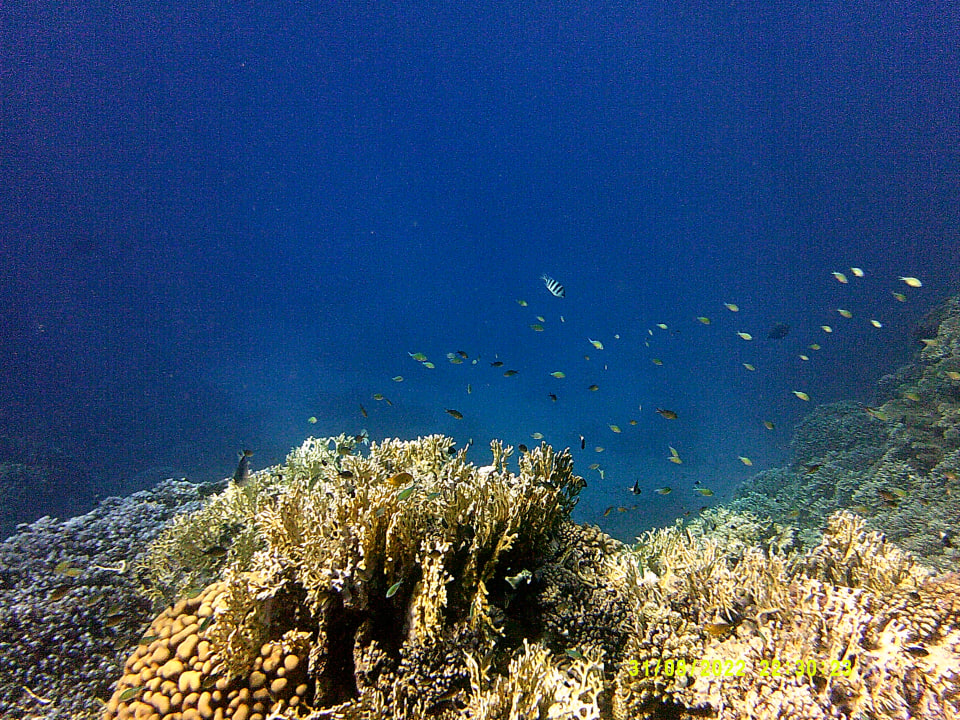 Sport & Freizeit Shams Alam Beach Resort