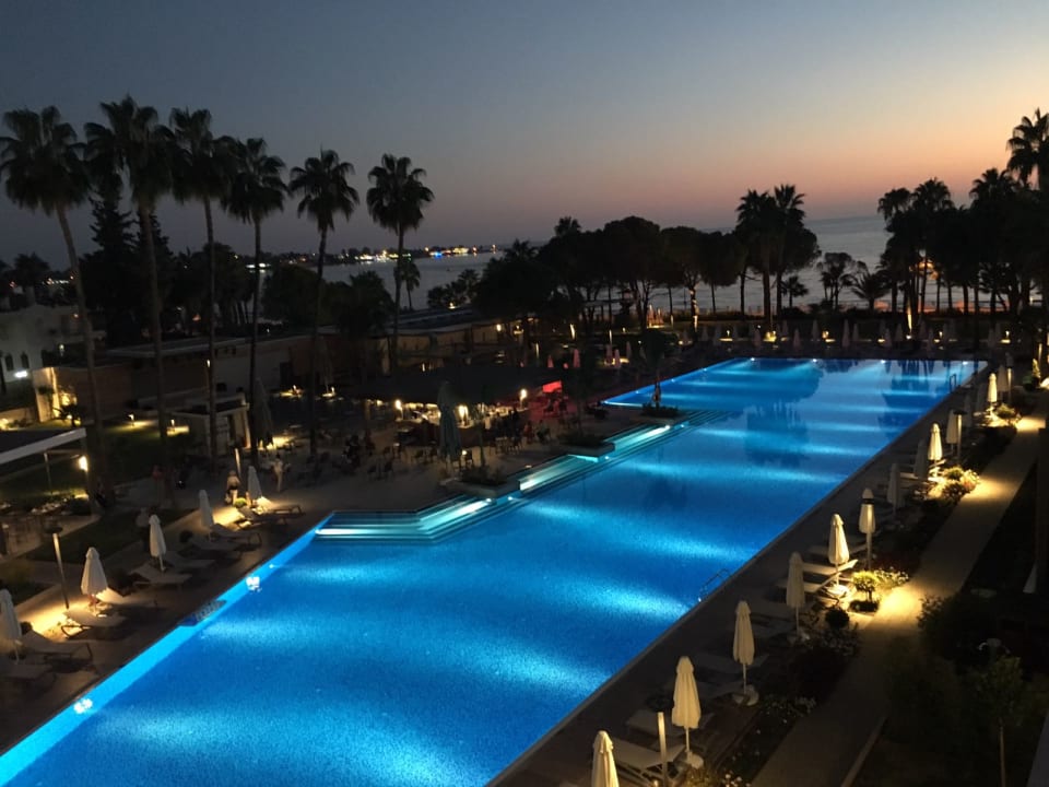 Pool Acanthus Cennet Barut Collection