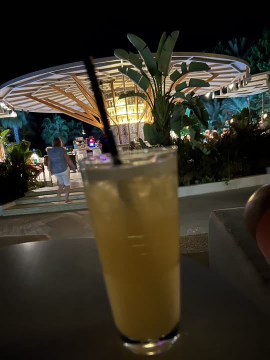 Gastro PALOMA Perissia