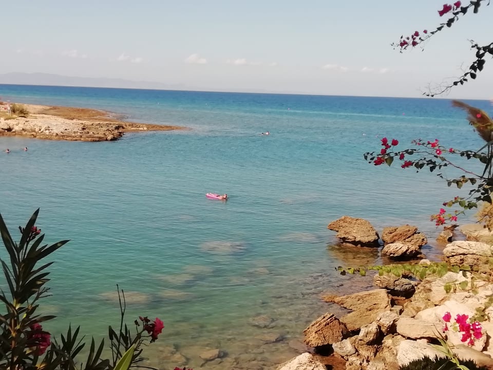 Außenansicht Crystal Springs Beach Hotel