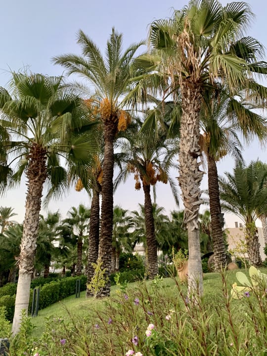 Gartenanlage PALOMA Perissia