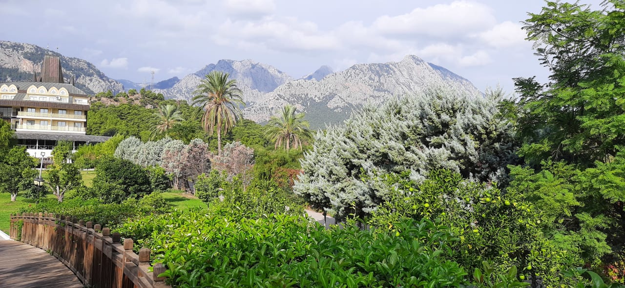 Ausblick Crystal Prestige Elite
