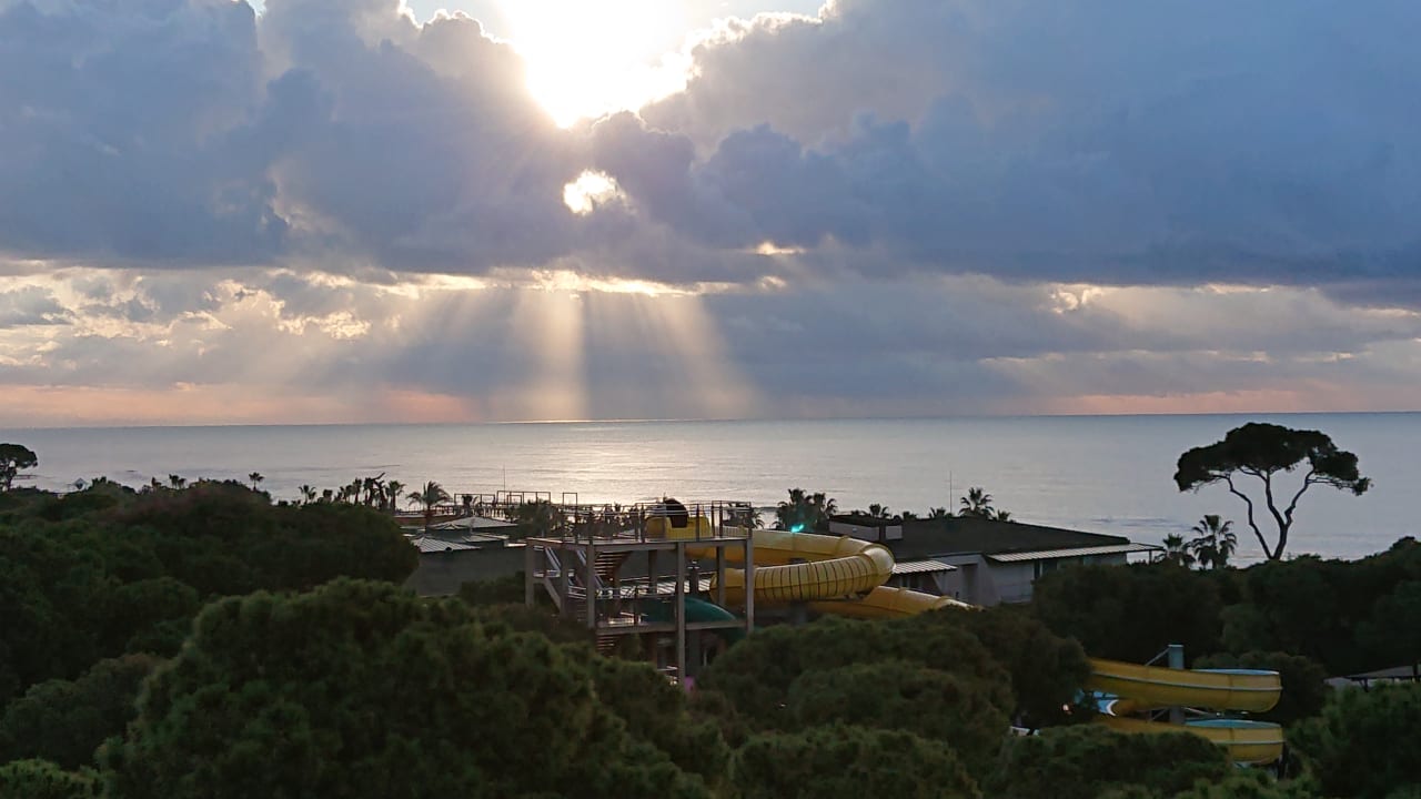 Ausblick Papillon Ayscha