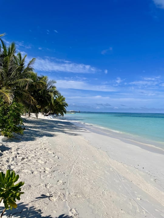 Außenansicht Meeru Maldives Resort Island