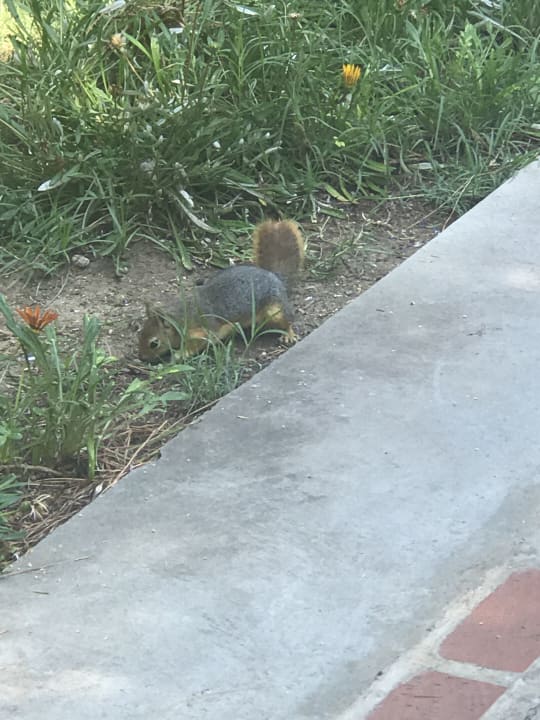 Gartenanlage Kustur Club Holiday Village