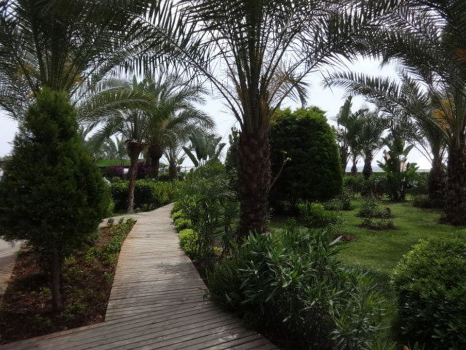 Kleine Wege Granada Luxury Okurcalar