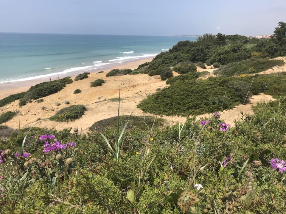 Strand Aldiana Club Andalusien