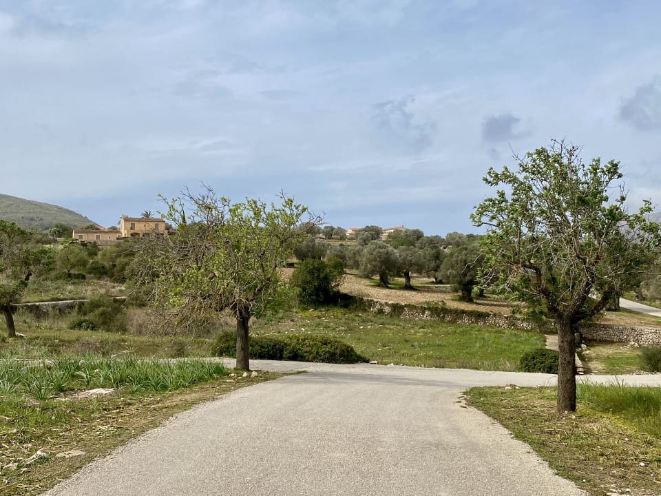 Außenansicht Carrossa Hotel & Spa