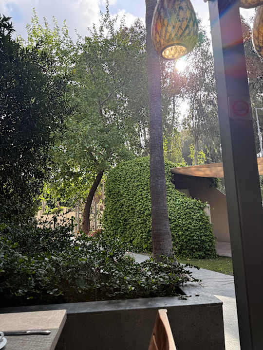 Gartenanlage Arum Barut Collection