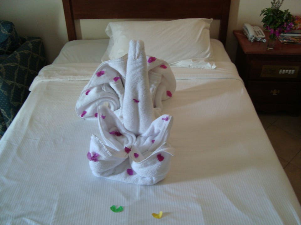 Nette Tierchen Titanic Resort & Aqua Park