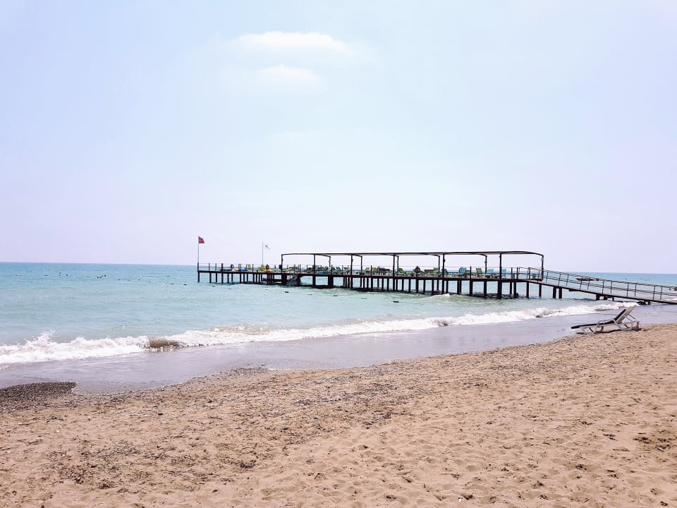 Strand Papillon Ayscha