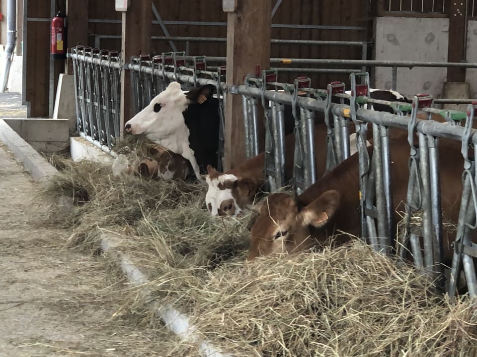 Sport & Freizeit Villages Nature Paris