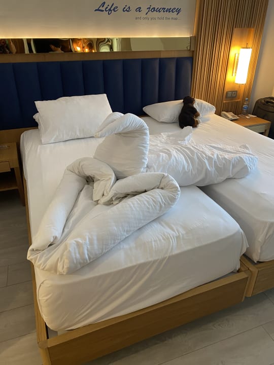Zimmer Sidemarin Kirman Premium