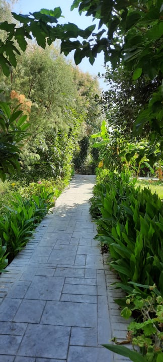 Gartenanlage Irene Palace Beach Resort Club alltoura