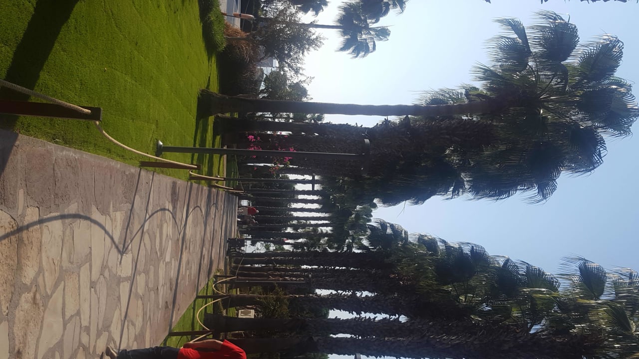 Gartenanlage Arum Barut Collection