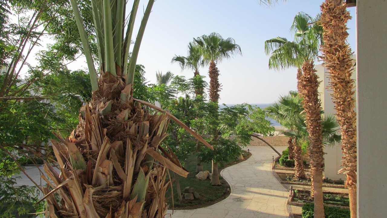 Blick aus dem Zimmer Sharm Plaza