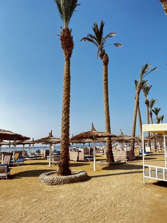 Strand Pickalbatros Alf Leila Wa Leila Resort - Neverland Hurghada